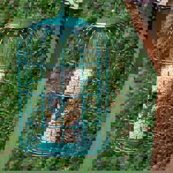 St Helens Squirrel Resistant Bird Feeder