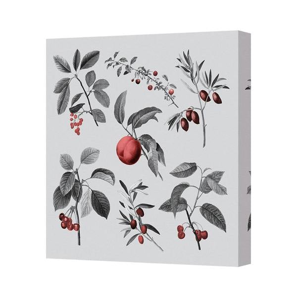 Benjamin Tate Design Contemporary Fruit Botanical Canvas Wall Art Print With Deep Wooden Frame