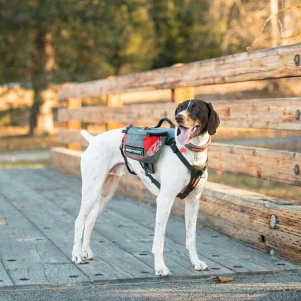EzyDog Summit 2in1 Backpack and Harnesss