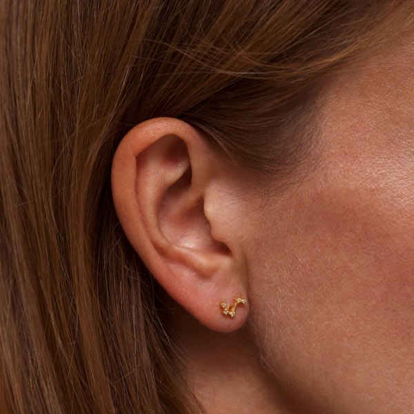 Gold Trip Aries Zodiac Constellation Earrings