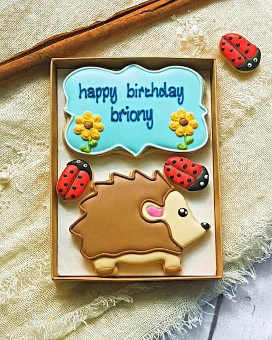 The Cookie Collaboration Hand-iced Personalised Hedgehog Cookie LETTERBOX GIFT/Birthdays/Get well soon