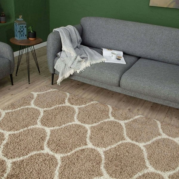 Trellis Design Thick Shaggy Area Rugs Beige