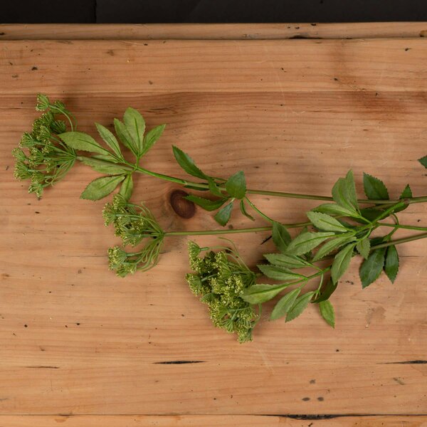 Wyld Haus Set of 3 Artificial Flowers Faux Cow Parsley Ammi Stem