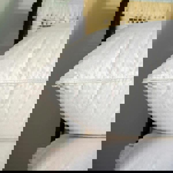 Soak&Sleep 100% Canadian Goose Down Pillows