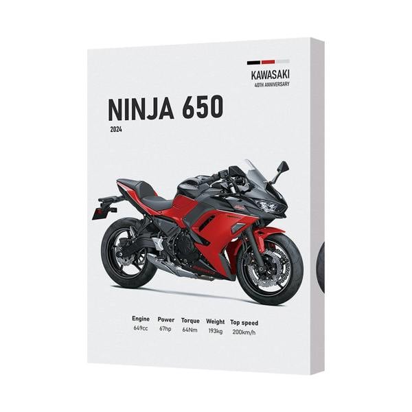 Benjamin Tate Design Kawasaki Ninja 650 Motorcycle Canvas Print 2024 Wall Art