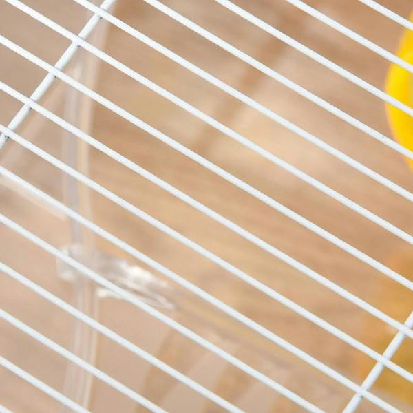 White wire ventilation bars for a transparent hamster cage