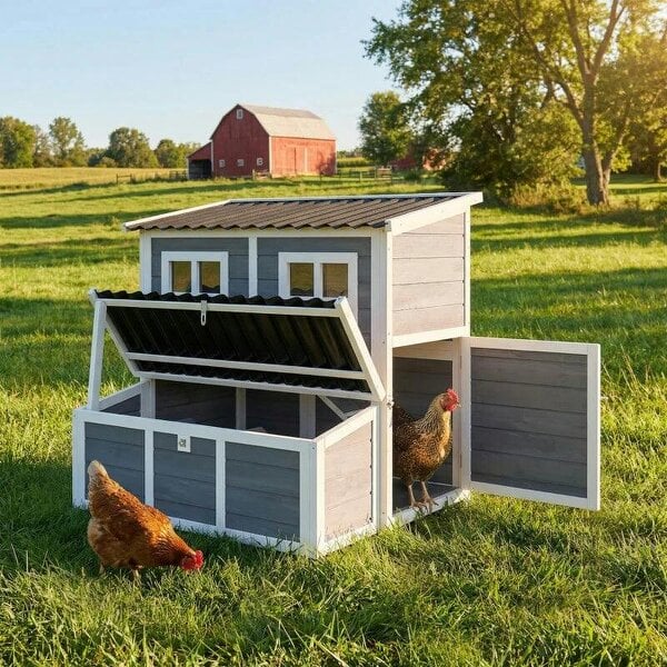 Wooden Chicken Coop with Nesting Box, Slide-Out Tray, Perches, for 2-4 Chickens, 100 x 86 x 100cm - Light Grey