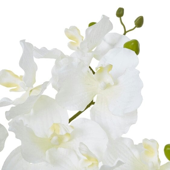 Wyld Haus Artificial Plant White Vanda Orchid Plant In Ceramic Pot