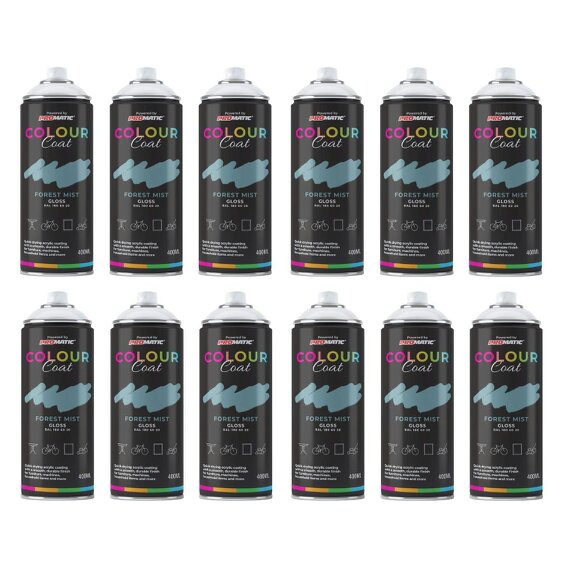 Colour Coat 12X Forest Mist RAL 180 60 20 Gloss Spray Paint 400ml