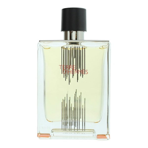 Hermes Hermès Terre D'hermès H Bottle Limited Edition Eau De Toilette 100ml for Him