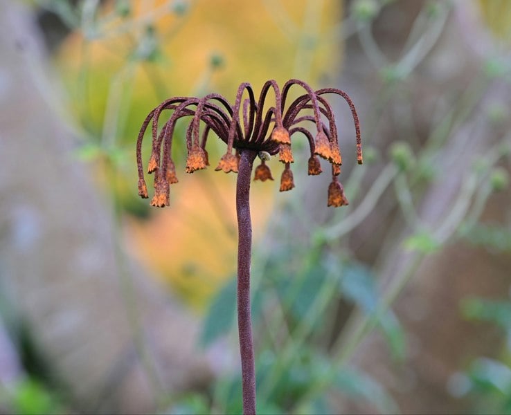 Savage Works Sicilian Honey Garlic Flower