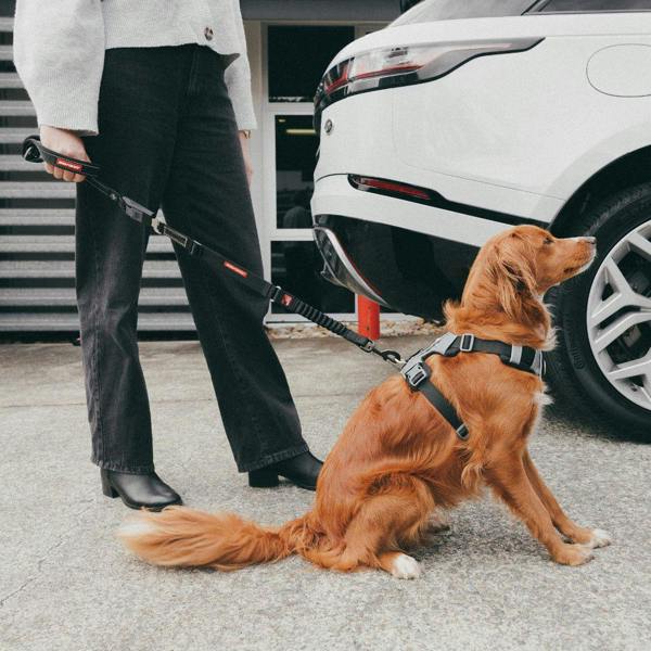 EzyDog Click Lead Handle for Seatbelt