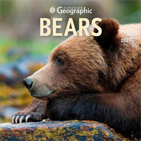 Bears Calendar 2027, Wall Calendars, Month To View, Animals, Gift