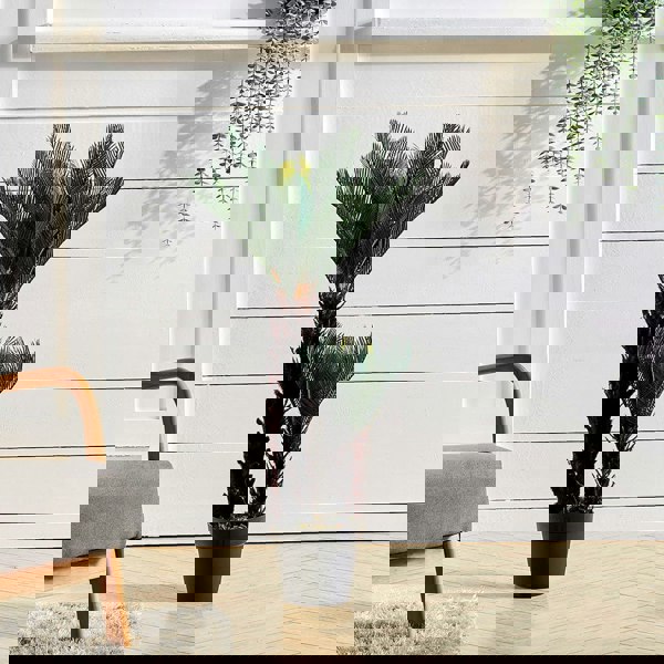 Artificial Double Cycas Decorative Plant in Planter Living and Home