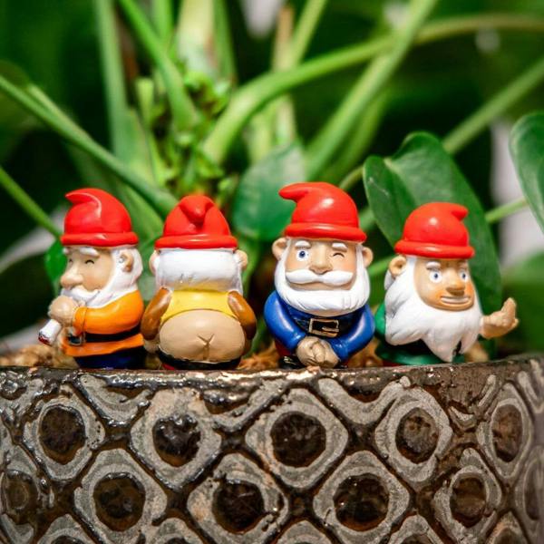 Four miniature hand-painted naughty gnomes with red hats sitting inside a rustic patterned ceramic plant pot on top of the soil in front of green leaves.