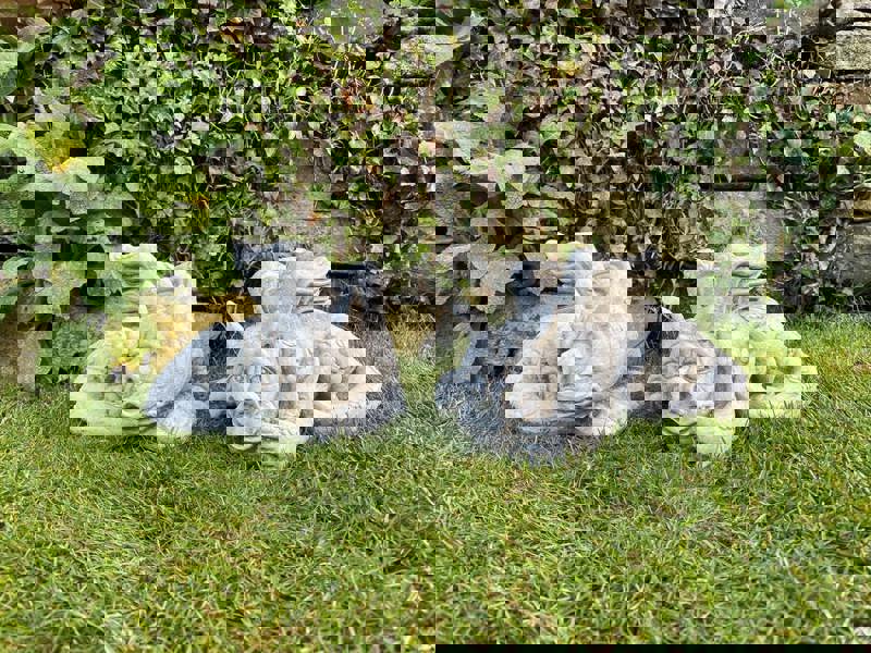 Pair of Small Laying Dragons Sculptures