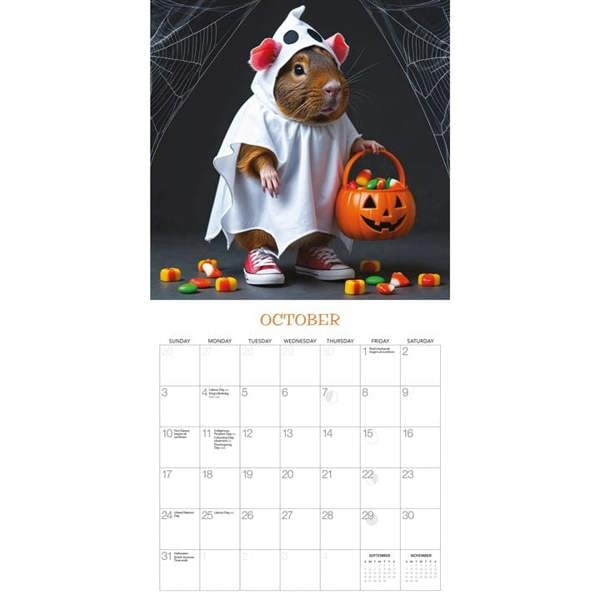 Guinea Pigs Rule Calendar 2027, Wall Calendars, Month To View, Animals, Gift