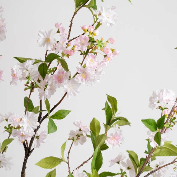 Scottish Everlastings 180cm Pink Cherry Blossom Tree