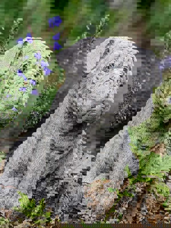 Cute Bulldog Pup Garden Ornament