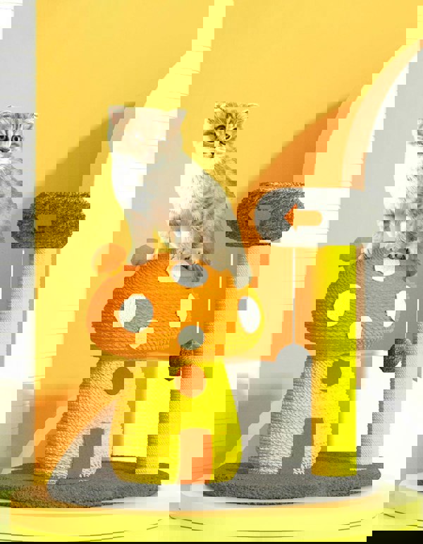 Flo's Mushroom House, Cat Toy, Hemp Rope-Weilai concept-Style 2-Weilai Concept