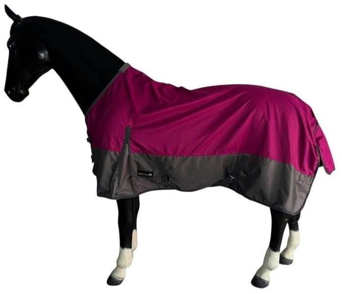 eQuitack 600D Outdoor Winter Mediumweight Waterproof Horse Turnout Rug 100g Fill Standard Neck Nylon Lined Double Buckle Raspberry/Grey