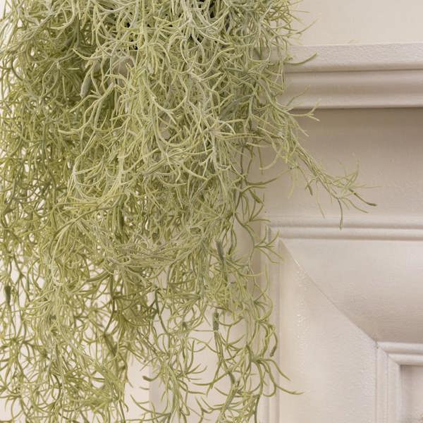 Scottish Everlastings Artificial Trailing Spanish Moss