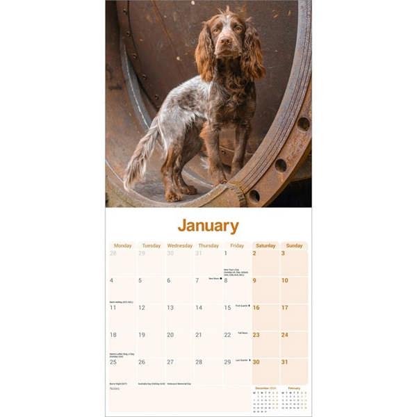 Working Cocker Spaniel Calendar 2027, Wall Calendars, Month To View, Dogs, Gift