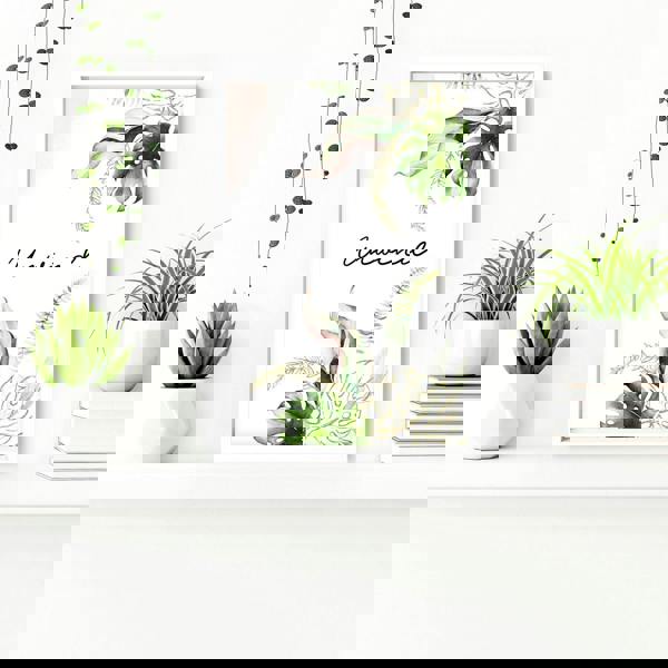 Bathroom with art | Set of 3 Tropical wall art prints