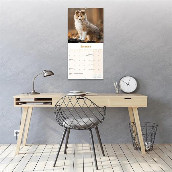 Shetland Sheepdog Calendar 2027, Wall Calendars, Month To View, Dogs, Gift
