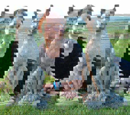 Pair of Standing Cats Gatepost Garden Ornaments