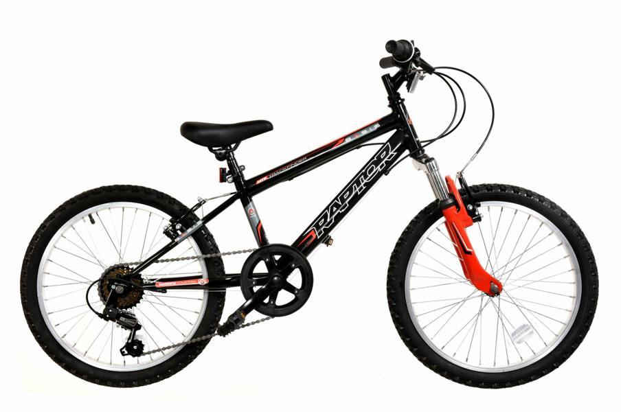 Basis