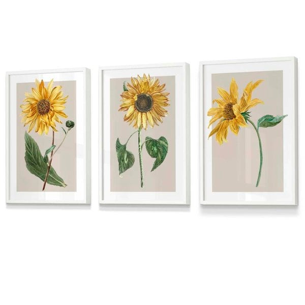 Artze Wall Art Vintage Yellow Sunflowers Set of 3 Framed Prints