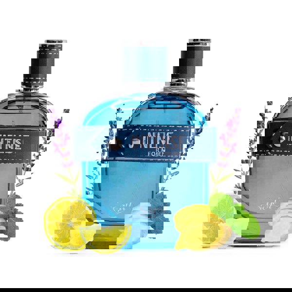 Sapil Intense Man 100ml Eau de Toilette top notes graphic