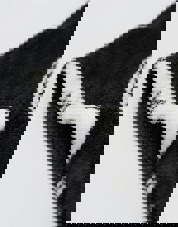 The Nightmare Before Christmas Womens Black Faces Jumper