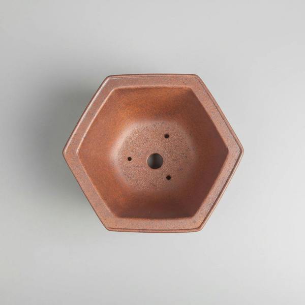 Yorkshire Bonsai Premium Yixing Bonsai Pot | Unglazed Embossed Hexagonal Pot | 13.5cm x 13.5cm x 8cm