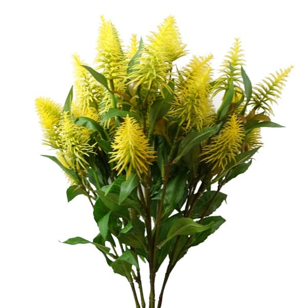 Leaf Pack of 6 x 55cm Callistemon Pallidus Yellow Bottle Brush Stem