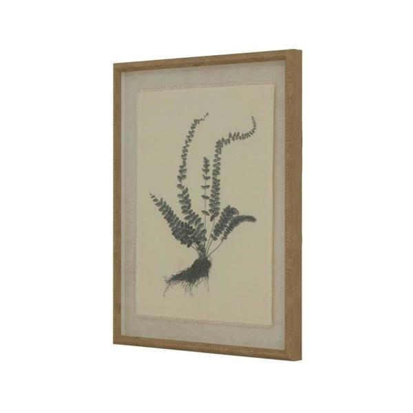 Hill Interiors Flora & Fauna Collection Spleenwort Beaded Linen Framed Wall Art - Black/White - 