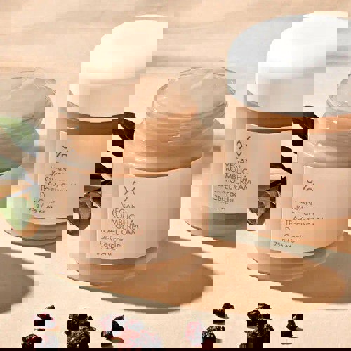 Dr. Ceuracle Vegan Kombucha Tea Gel Cream 75g