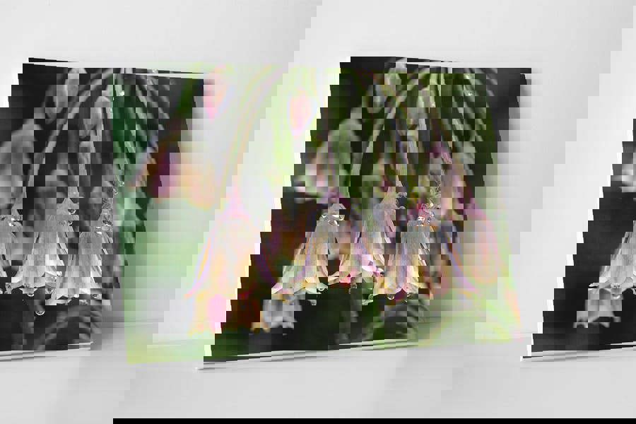 botanical canvas print