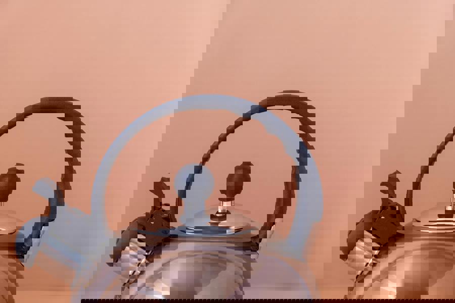 La Cafetière Induction-Safe Stainless Steel Whistling Kettle