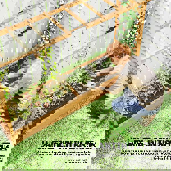 Multi-functional Garden Bed