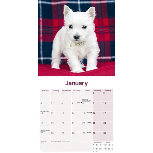 West Highland White Terrier Calendar 2027, Wall Calendars, Month To View, Dogs, Gift