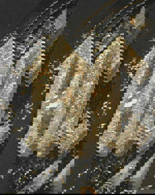 Amplified Clothing Mens Grey Ac/Dc Short Sleeved T-Shirt