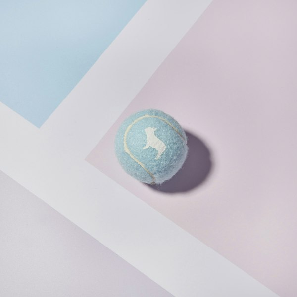 Blue Dog Tennis Ball with White Barc Logo & Seam