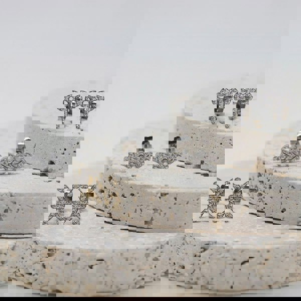 Say It With Aries Earrings with CZ Stones - Silver Plated