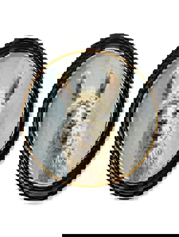 Exceptional Art The Goofy Llama - Oxford round frame
