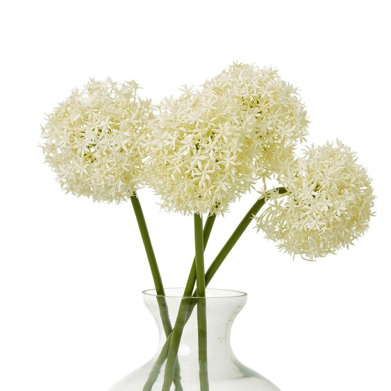 Wyld Haus Set of 3 Artificial Flowers Cream Medium Allium Stems