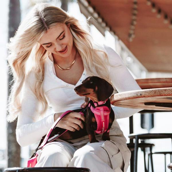 EzyDog Essential Adjustable Dog Collar in Pink
