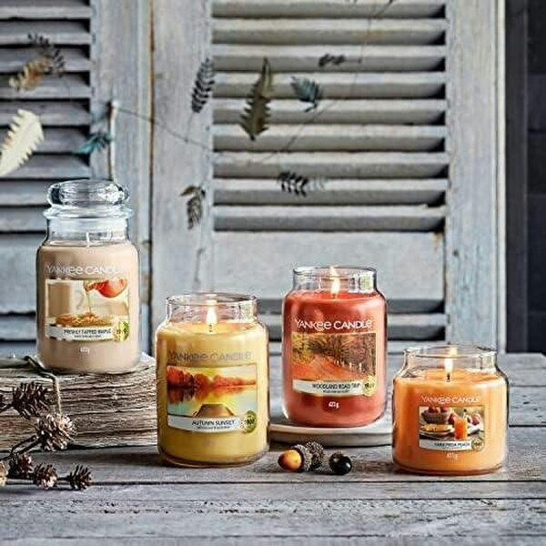 Yankee Candle Woodland Road Trip Medium Scented Jar Candle 411g