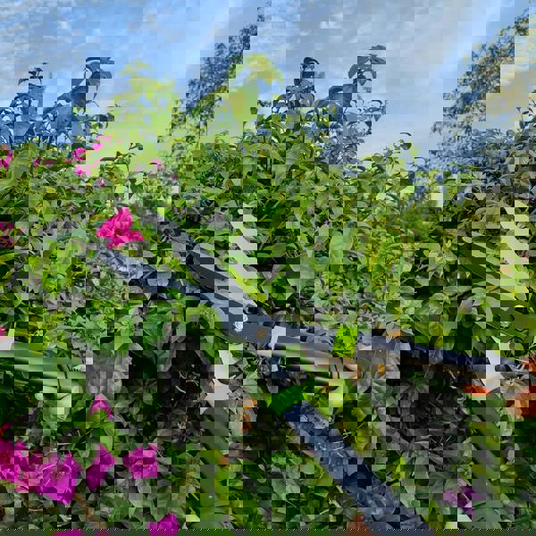 Gr8 Garden Set Of 3 Garden Tools Lopper Shears Secateurs Hedge Tree Cutter Pruning Trimmer